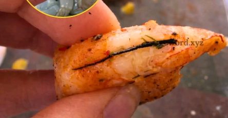 106d9a03 8782 4bfd 80bd 875dda7ed38d