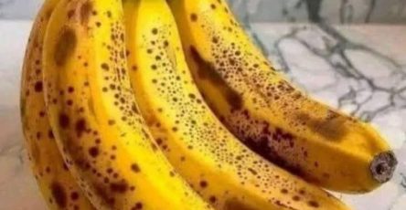 410a9e71 f950 4fc2 b4b2 9f2a107abe4f