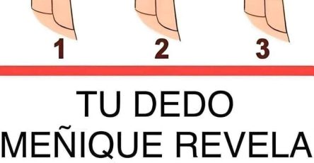 637365603 2147009049445091 5334356522477933772 n