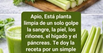 638011137 897578436533701 8623793241245703156 n