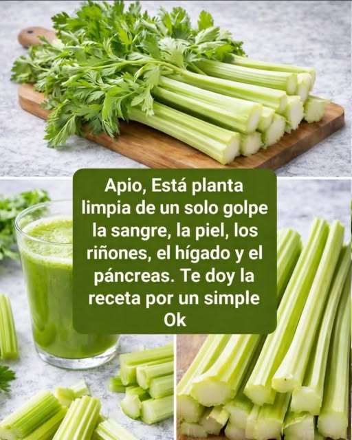 638011137 897578436533701 8623793241245703156 n