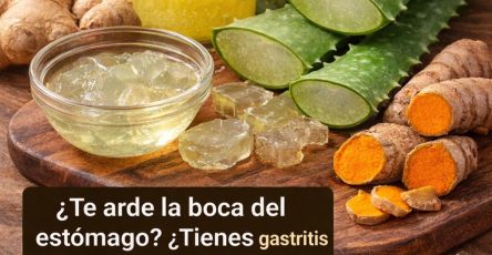 638244773 1479176077102430 6715492522004707387 n