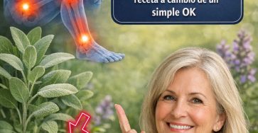 640946356 122152977572973955 9072567673175243221 n