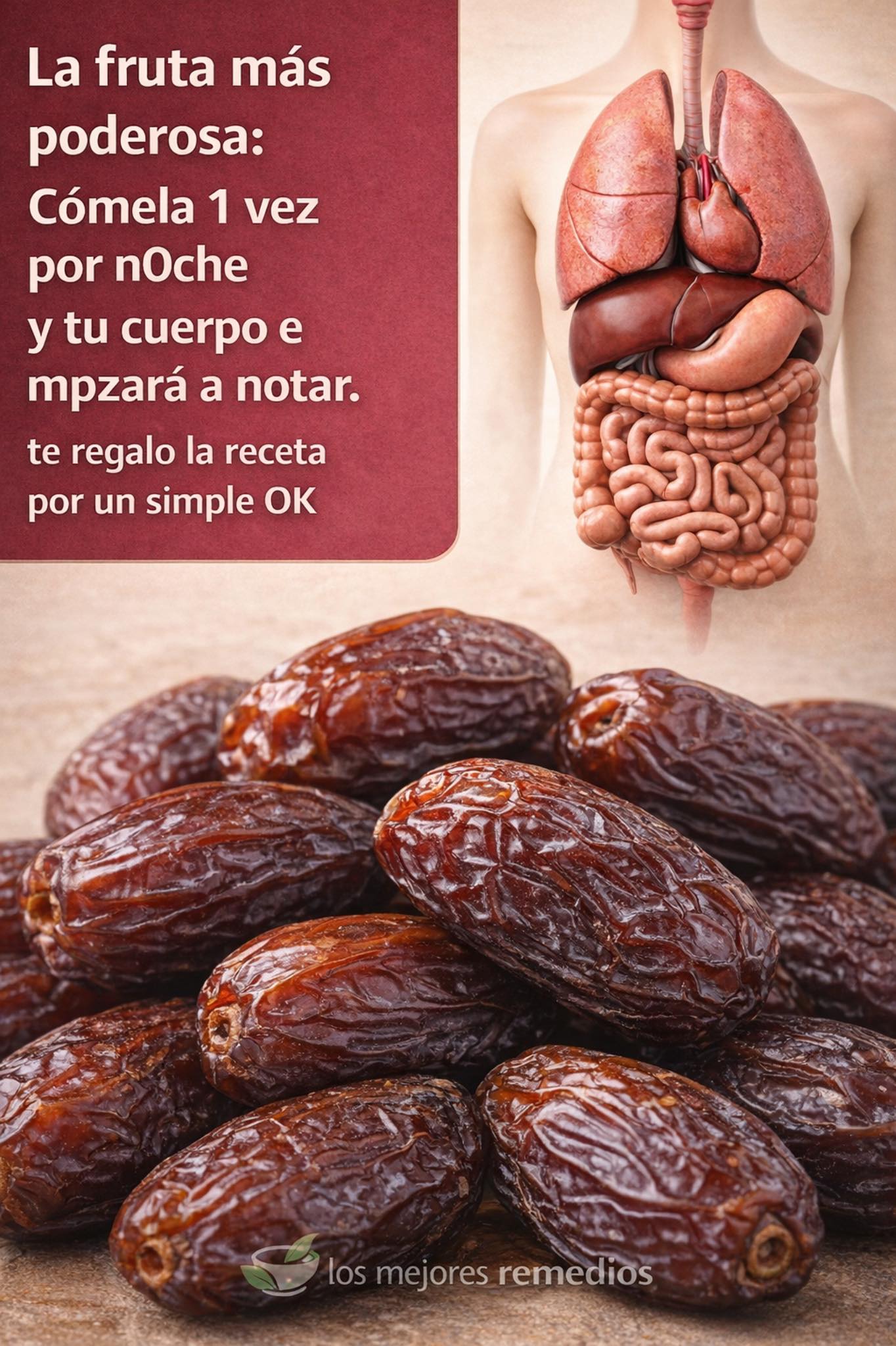 641127343 1483547836665254 3975632603774706732 n