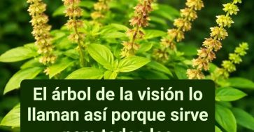 641373130 1483646466655391 4924749614597615204 n