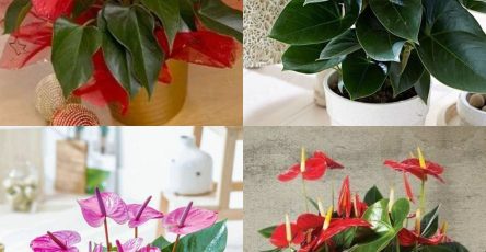 485696343 691245083474792 3346682620081445442 n