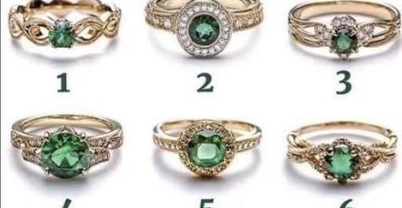 4f3053d5 963f 4589 b941 3f7c065d460a