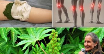 542123425 122203583894123415 2745308727559640511 n