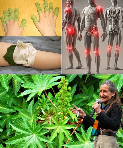 542123425 122203583894123415 2745308727559640511 n