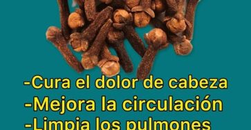 550836558 1317917566364220 9154932499203461124 n