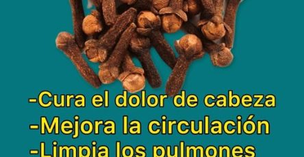 550836558 1317917566364220 9154932499203461124 n