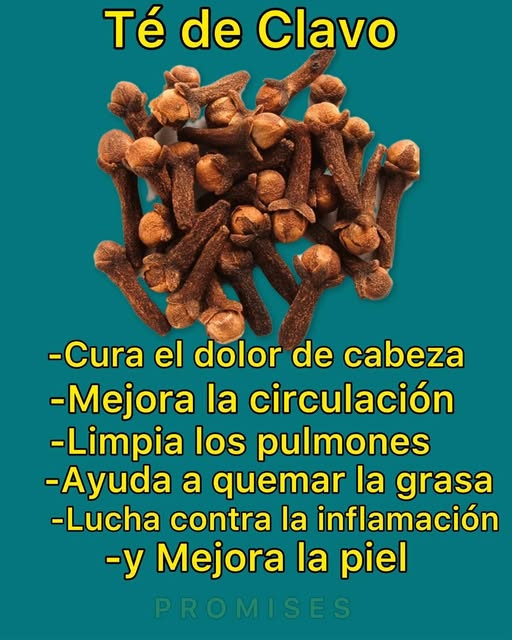 550836558 1317917566364220 9154932499203461124 n