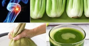 553786432 1988264965279545 969208492589987369 n