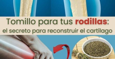 556500424 758604180348277 3235933869831516459 n