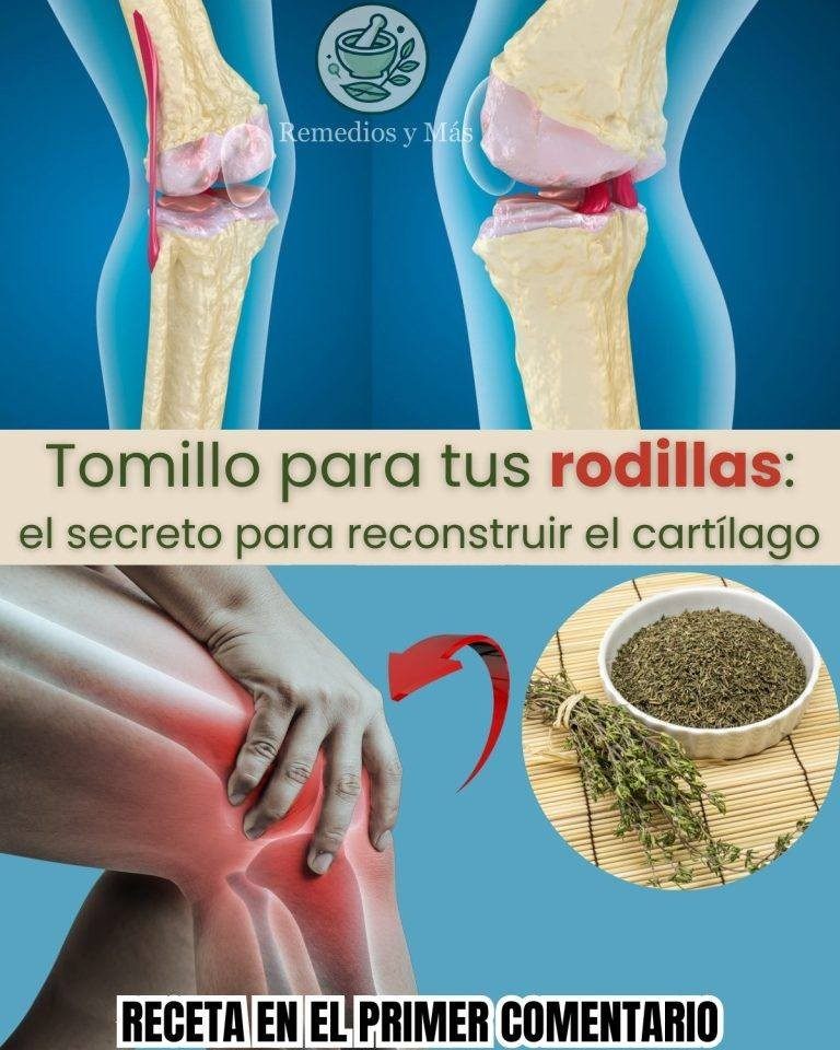 556500424 758604180348277 3235933869831516459 n