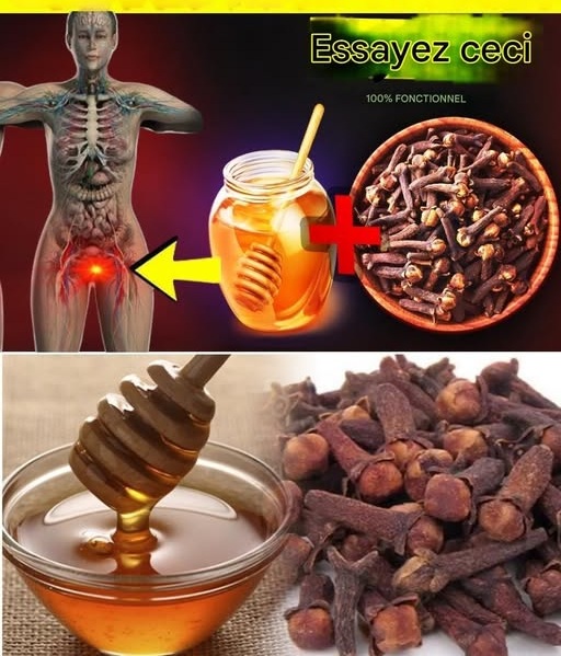 556596106 777174214933312 7977714571881138876 n