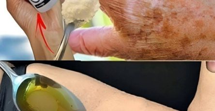 557638543 122152996298629176 1185680638026208892 n