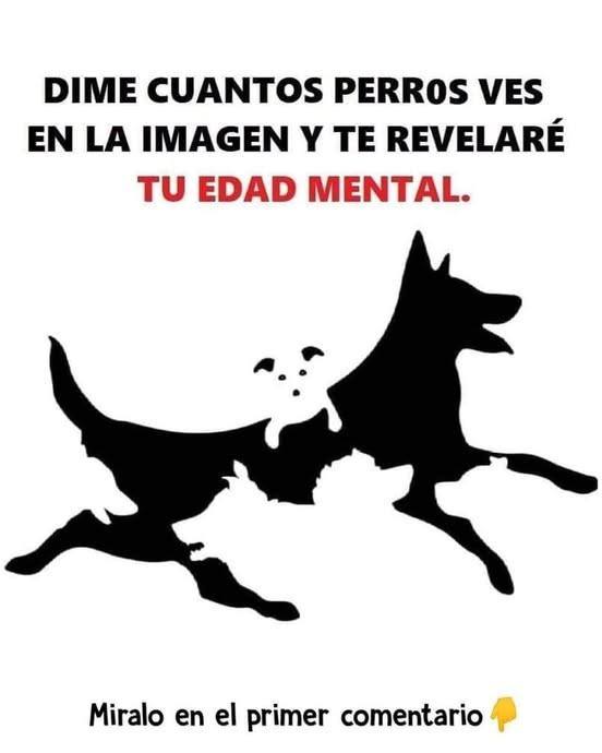 560555852 2261821374247614 7302503468074294723 n