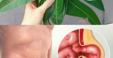 573282597 871842305169526 6921956451799224064 n