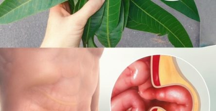 573282597 871842305169526 6921956451799224064 n