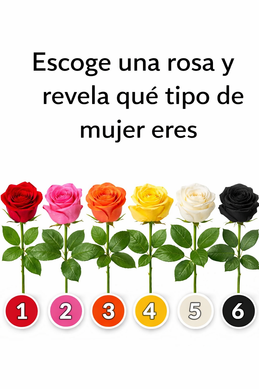 5b05f64d e115 4bfe b58d 0be8b0d197b9