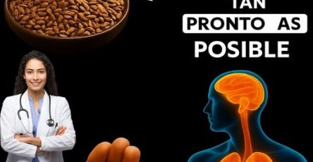 620148098 1400187905486965 5747116118337791261 n