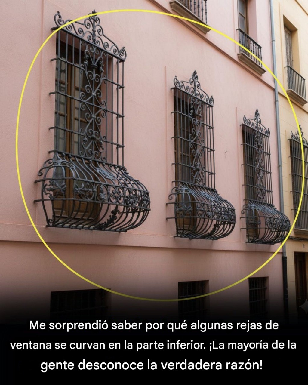 629911649 909841211573448 1561446361840027366 n