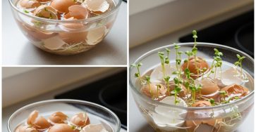 638236570 982706091368069 2758106291084695021 n