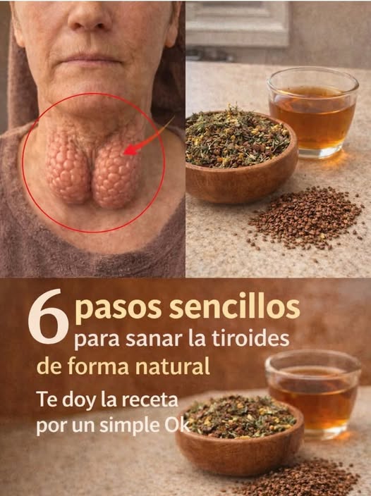 638601147 122249888702087892 795191576225735598 n