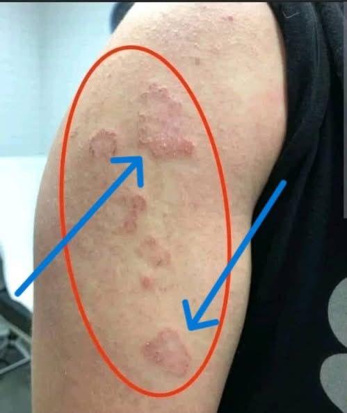 640194287 1673373280698580 685688236845827158 n