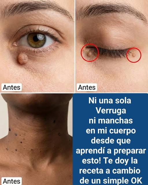 641224718 122291788130178654 1447768623402184834 n