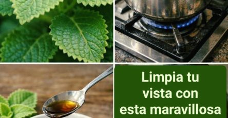 641332420 987416787136837 6342175497555971209 n