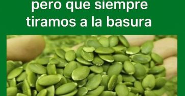 641416539 2432039877311494 3240929602937526415 n