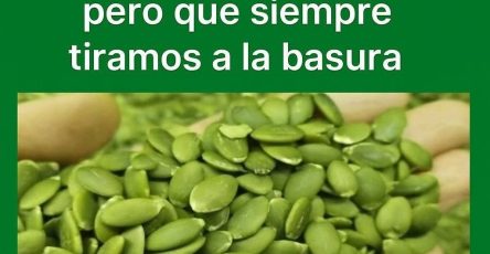 641416539 2432039877311494 3240929602937526415 n