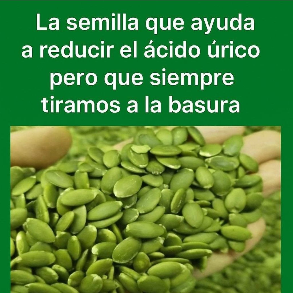 641416539 2432039877311494 3240929602937526415 n