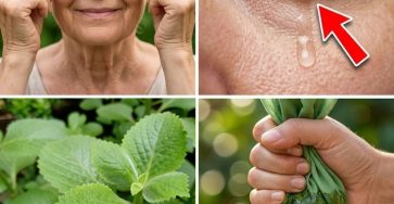 644337579 122154122420973955 8194895663410339400 n