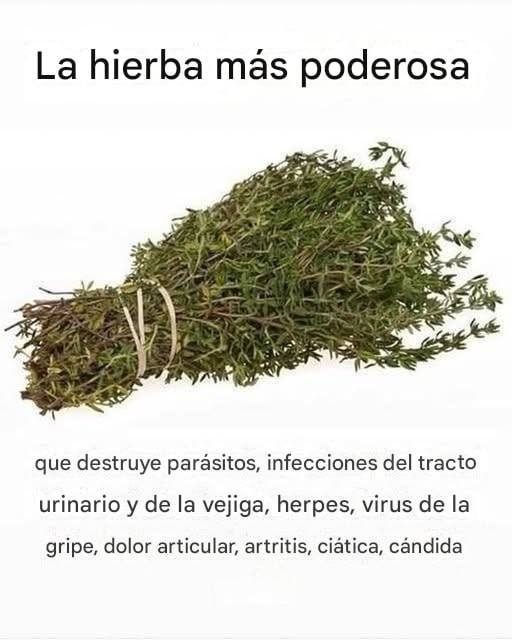 646135404 1455745899249414 4681930466147941323 n