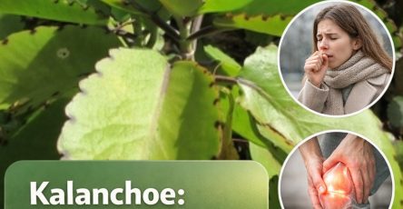 646367719 947824121152249 4623639424786439025 n