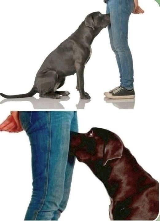 646553966 1491862872553073 7302274464677404998 n