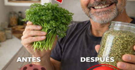 649664434 914980094842895 7121207626497992934 n