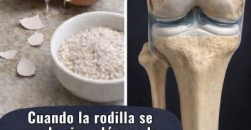 649694896 1212480347534444 6163346379331741895 n