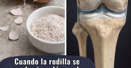 649694896 1212480347534444 6163346379331741895 n