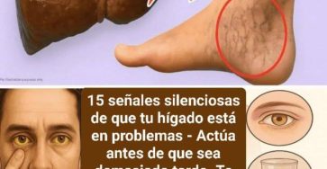 654307798 122190289514443992 2498490352790881963 n