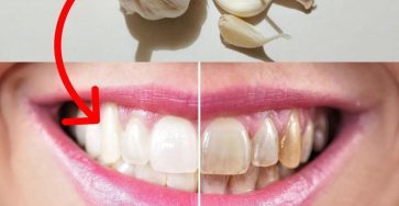 657296375 122115083691243910 3190786271622069578 n