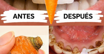 97181443 985a 4613 9be2 6b7365235ac2