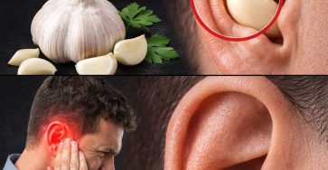 99663247 26d3 4a9d 83f8 d41d40651eba