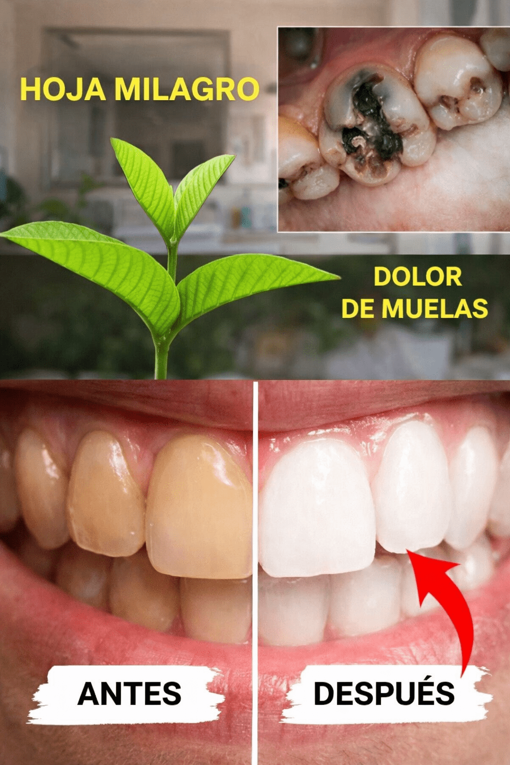 ChatGPT Image 07 46 06 11 thg 3