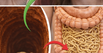 ChatGPT Image 16 32 14 10 thg 3