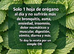 Chua co ten Bai dang Instagram 45