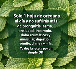 Chua co ten Bai dang Instagram 45